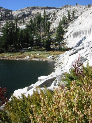 Granite, Lake, and Plants