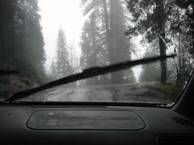 Rainy Road