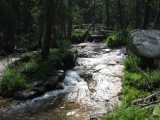 small_IMG_2243.jpg