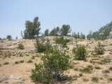small_IMG_2255.jpg