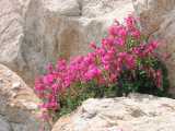 small_IMG_2260.jpg