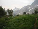 small_IMG_2274.jpg