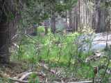 small_IMG_2276.jpg