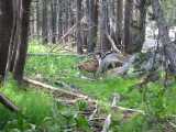 small_IMG_2277.jpg