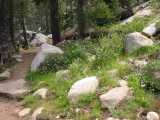 small_IMG_2280.jpg