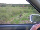 small_IMG_1860.jpg