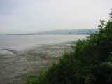 small_IMG_1862.jpg