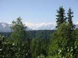 small_IMG_1881.jpg