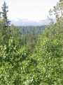 small_IMG_1882.jpg