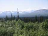 small_IMG_1884.jpg