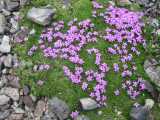 small_IMG_1891.jpg