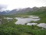 small_IMG_1894.jpg