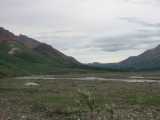 small_IMG_1896.jpg