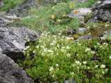 small_IMG_1924.jpg