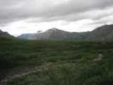 small_IMG_1948.jpg