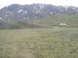 small_IMG_1953.jpg
