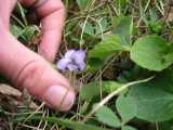 small_IMG_1962.jpg
