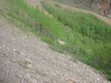 small_IMG_1968.jpg