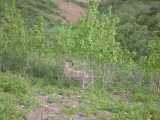 small_IMG_1969.jpg