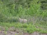 small_IMG_1970.jpg
