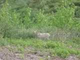 small_IMG_1971.jpg