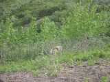 small_IMG_1972.jpg