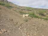 small_IMG_1974.jpg