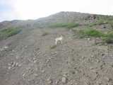 small_IMG_1975.jpg