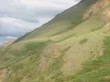 small_IMG_1977.jpg