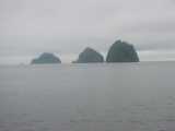 small_IMG_2084.jpg