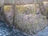 small_IMG_2087.jpg