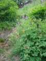 small_IMG_2114.jpg