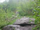 small_IMG_2117.jpg