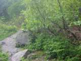 small_IMG_2118.jpg