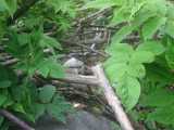 small_IMG_2119.jpg