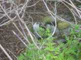 small_IMG_2120.jpg