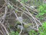 small_IMG_2121.jpg