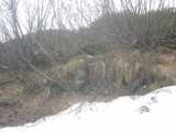 small_IMG_2154.jpg