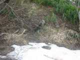 small_IMG_2155.jpg
