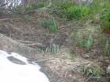 small_IMG_2156.jpg