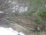 small_IMG_2157.jpg