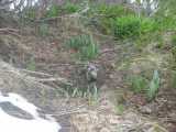 small_IMG_2158.jpg