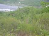 small_IMG_2160.jpg