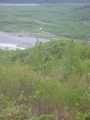 small_IMG_2161.jpg