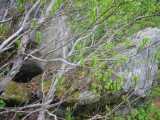 small_IMG_2162.jpg