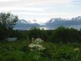 small_IMG_2176.jpg