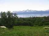 small_IMG_2177.jpg