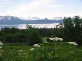 small_IMG_2178.jpg
