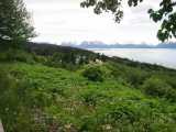 small_IMG_2181.jpg