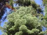 small_IMG_1318.jpg